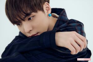 BX(ビーエックス)