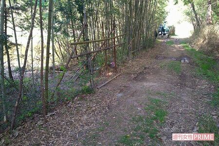 《京都小6男児遺体遺棄事件》安達結希さんの遺体発見現場