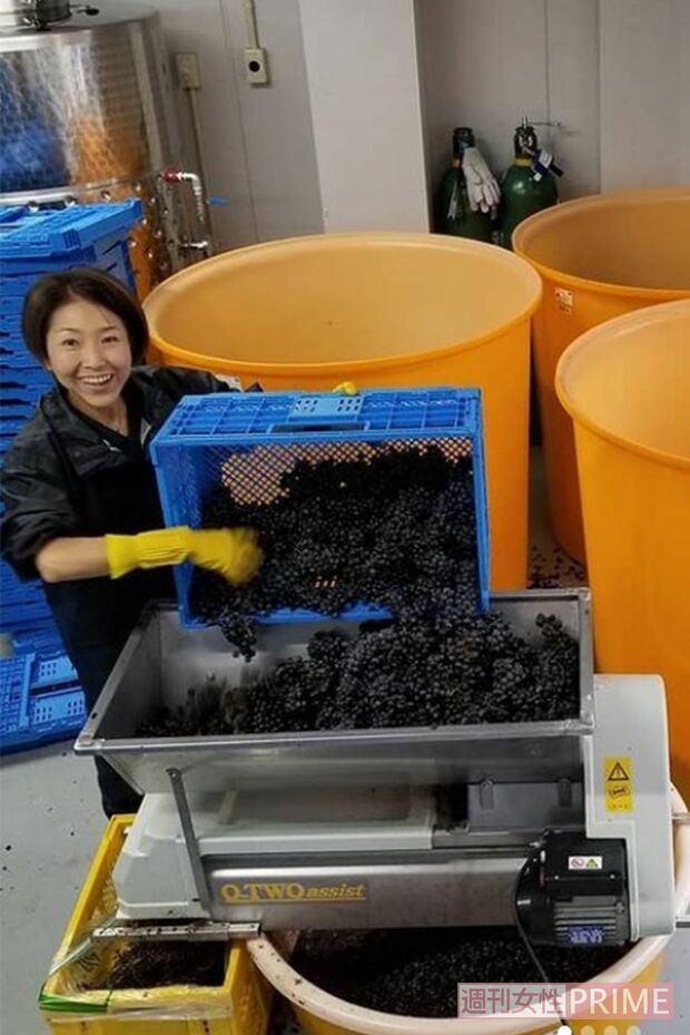 除梗機にブドウを入れ、押しつぶして果汁にし、発酵させる