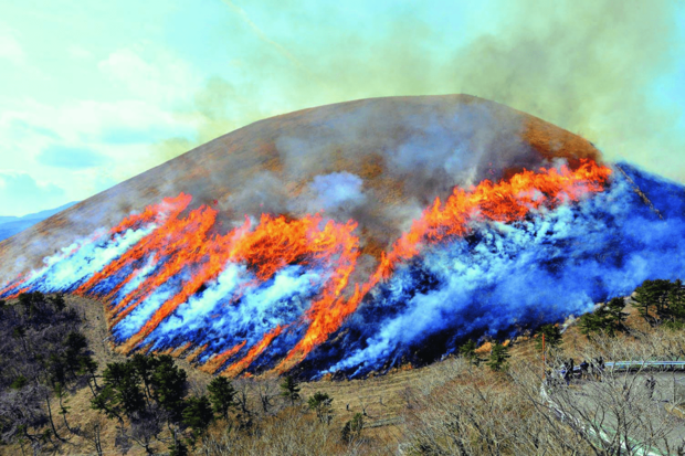 大室山：毎年2月には山焼きが行われる。初春には黒、春には若葉色、夏には深緑、秋にはススキの銀色、冬には黄金色へと姿を変え続ける。静岡県伊東市池672-2（https://omuroyama.com/）