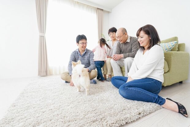 写真はイメージです