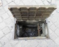 パンチラ見たくて溝に寝そべっていた男「道になりたい」