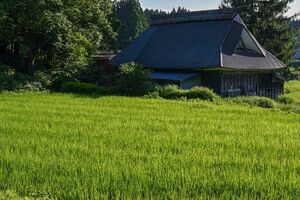 「一村貸し」で話題を集めている新潟県糸魚川市の山間地にある市野々集落にある「宿屋堂道」 写真提供/株式会社伝燈