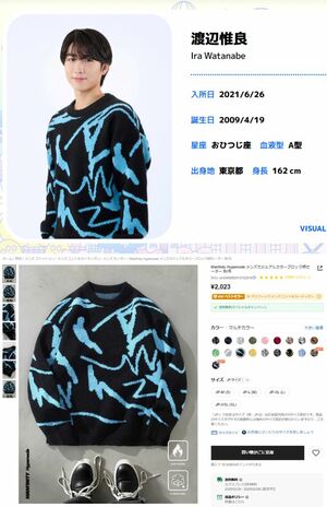 上はジュニアの公式ホームページ、下は『SHEIN』で販売されているアイテム