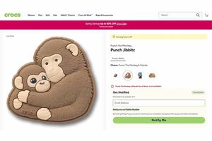 「PunchJibbitz」という名前もそうだが、市川市動植物園のパンチを明確に想起させるデザインの商品。さらに追加販売される模様(クロックスのオンラインショップより)