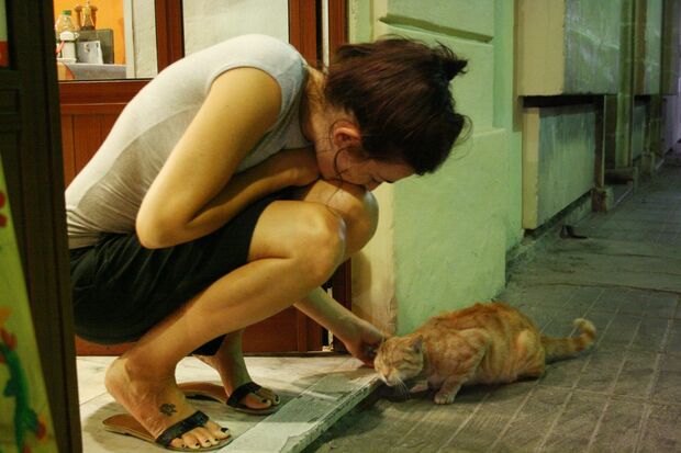 お客さんが帰ったタイミングを見計らって「にゃあー」と来店を知らせる茶トラ猫ちゃん。店のお姉さんとは大の仲よしだから、お腹がすいても困ることはにゃい　写真／白石あづさ