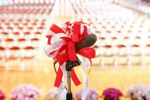 ※写真はイメージです