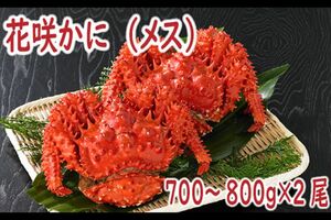 花咲かに(メス)700~800g×2/北海道根室市●寄付額2万1000円