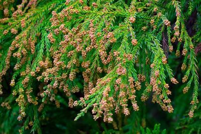 ※写真はイメージです