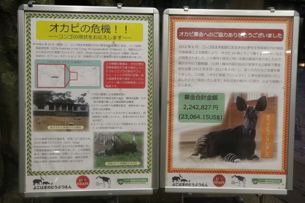 手書き看板をチェック！