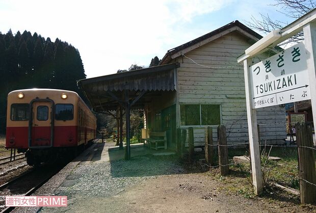 最寄りの小湊鉄道「月崎駅」。駅名を「チバニアン」にすることも検討中とのこと