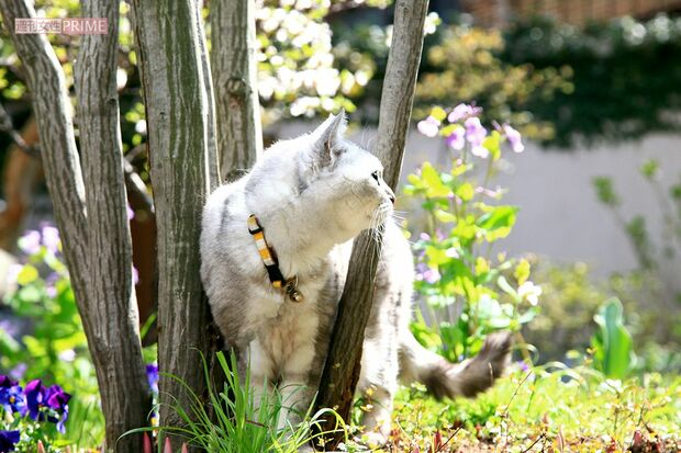 撮影／朝井まかてさん