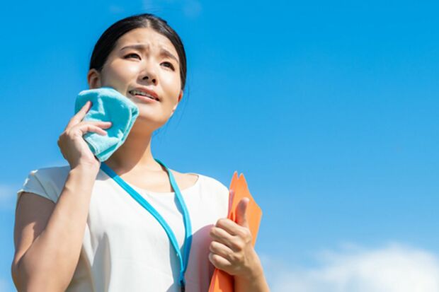 ※画像はイメージです