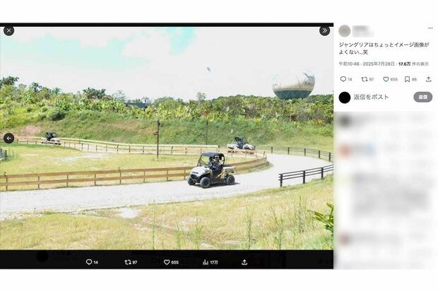 『ジャングリア沖縄』の実際の様子(Xより)