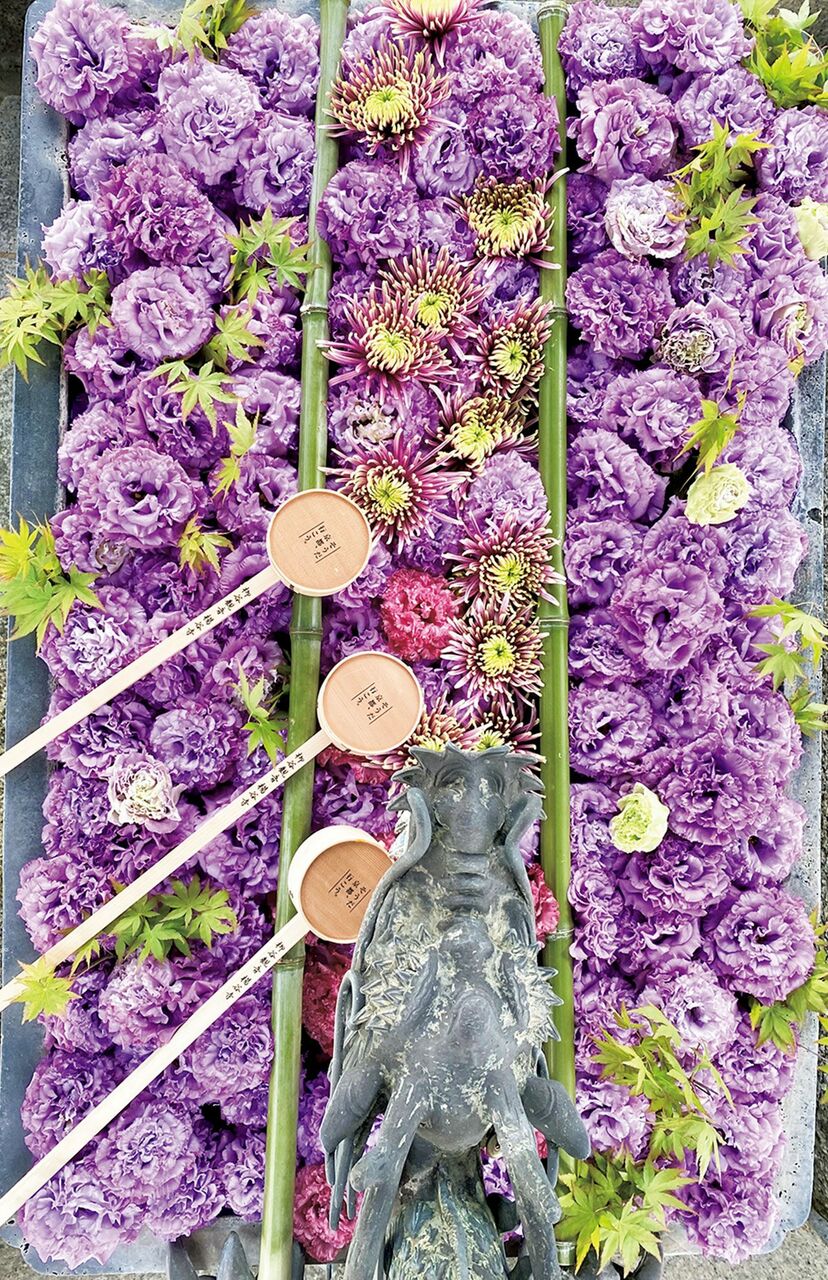 画像 写真 京都 柳谷観音 楊谷寺の百花繚乱 花手水 が美しすぎる 目から心を癒して ニュース概要 週刊女性prime