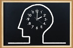 ※写真はイメージです