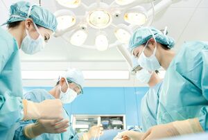 ※写真はイメージです