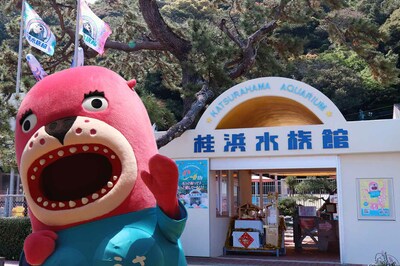 高知・桂浜水族館「きっと客は来ないW」自虐X投稿が万バズ！担当者に聞いた“その後”と平日来館のメリット