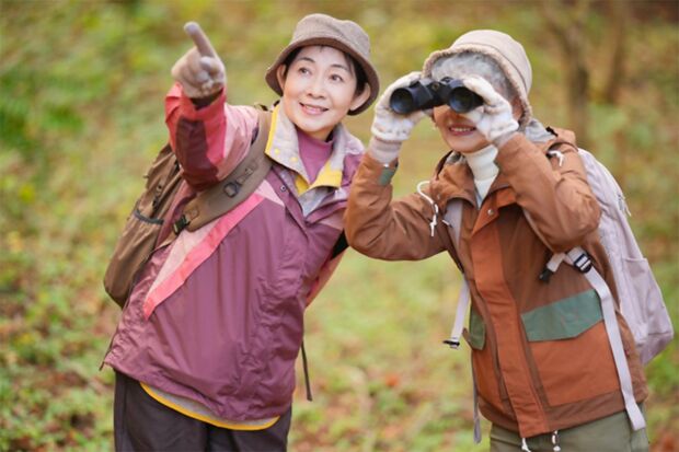 ※写真はイメージです