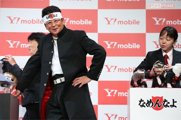 哀川翔が「なめ猫」とCMで共演