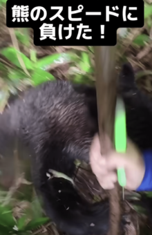 熊はしつこかったものの、ちょっと噛みついてすぐに去ったという（YouTubeチャンネルより）