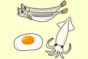 コレステロールは身体にとって大事！