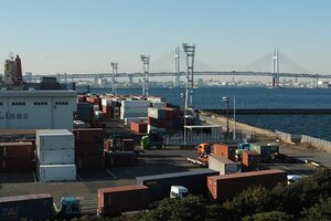 7月にヒアリが発見された横浜市の港