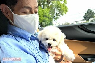 加藤茶「何か身体がだるいな」のひと言に妻・綾菜が提案「週に1度夫婦で一緒にジ…