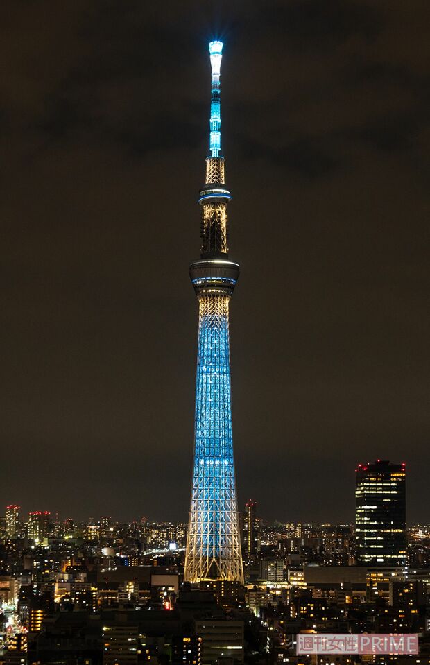 新デザイン『粋』