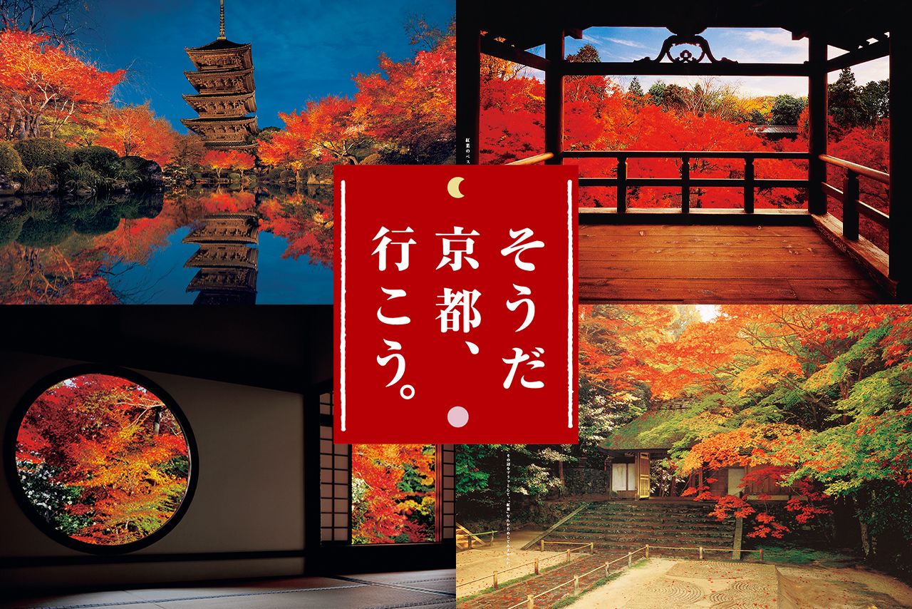 JR東海「そうだ 京都、行こう。」は今年で30年！専任カメラマン高崎