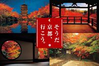 JR東海「そうだ 京都、行こう。」は今年で30年!専任カメラマン高崎勝二さんが撮り続けた京都社寺“至宝の…