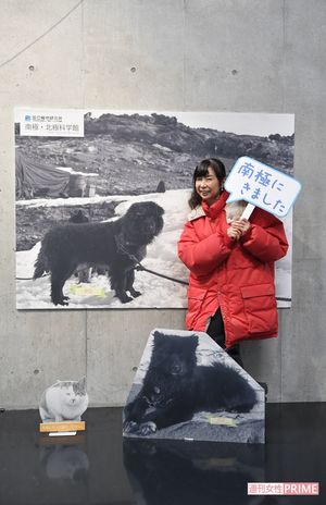 本物の 南極の氷 に触れる 夏休みに行きたい 極上ひんやり体験 週刊女性prime