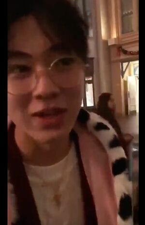 流出した佐藤龍我とされる動画。ディズニーで「彼女、ほしいィ!!」と絶叫