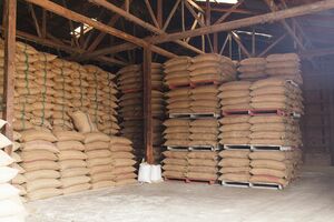 備蓄米の放出は倉庫会社の経営を圧迫しているという（写真はイメージ）