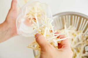 もやし/保存期間〔2週間〕（写真提供／ニチレイフーズ）