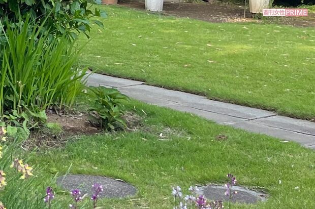 保田容疑者宅の庭には芝生が敷かれ、クラブを素振りする姿を目撃した近隣住民は多い