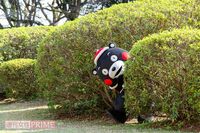 キュートなサンタコスプレで登場！ くまモン的「今年の漢字」を大発表