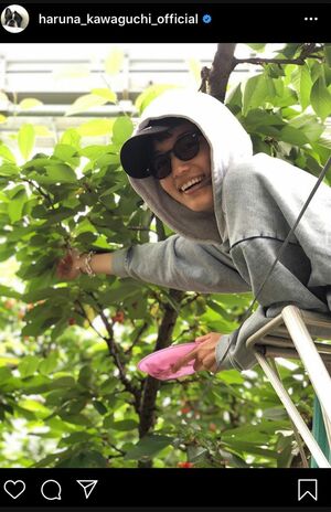 熱愛の川口春奈と矢地祐介、さくらんぼ園デートの様子を時間差でアップ（インスタグラムより）