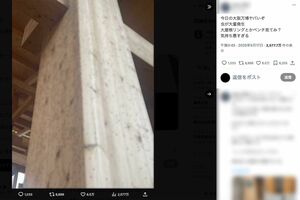 大屋根リングの木製の柱などに小さな虫が大量に発生している様子がアップされている（Xより、画像は一部編集部でモザイク加工）