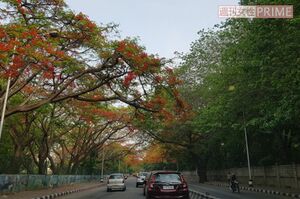 カルナータカ州の緑の多い町に在住（北村研二さん提供写真）