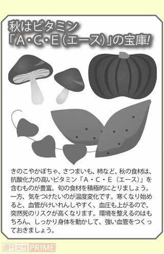 秋はビタミン「A・C・E（エース）」の宝庫！