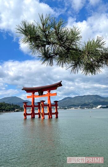 快晴に恵まれた嚴島神社観光でした