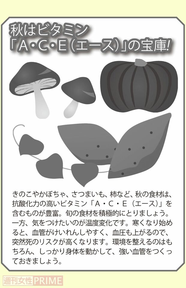 秋はビタミン「A・C・E（エース）」の宝庫！