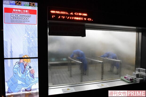 実際には飛来物にも警戒が必要だ　撮影／渡邉智裕