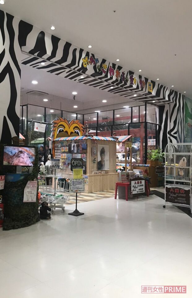 ショッピングセンター内にあるめっちゃさわれる動物園の入り口。今月15日までの営業予定