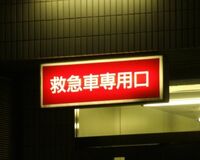 キラキラネーム研究、著者「差が出るわけがないと思った」