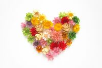 【心理診断】優先順位は恋人?自分? あなたの恋のドライ度は?