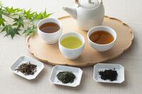 医師が実践する「10秒お茶うがい」喉のイガイガ、インフルエンザ、新型コロナの感染予防に!「茶カテキンが…