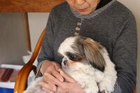 高齢飼い主がペットと共倒れしないためにすべきこと「飼い主探し」と「お金の準備」