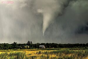 積乱雲の雲の底から垂れ下がるような見た目の“漏斗雲”。地面に達すると竜巻に